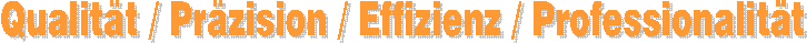 Qualit�t / Pr�zision / Effizienz / Professionalit�t 
